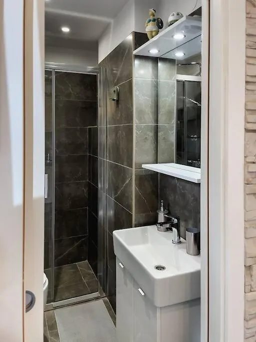 Cozy Newly-Renovated Apartment Ivan Rijeka