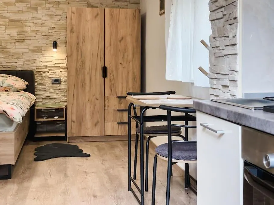 Cozy Newly-Renovated Apartment Ivan Rijeka 0*,